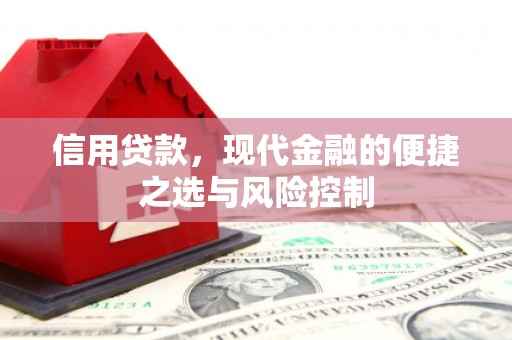 南票信用贷款，现代金融的便捷之选与风险控制