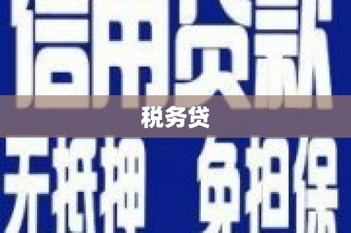 南票税务贷