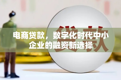南票电商贷款，数字化时代中小企业的融资新选择