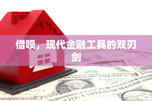 南票借呗，现代金融工具的双刃剑