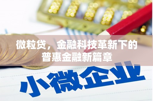 南票微粒贷，金融科技革新下的普惠金融新篇章
