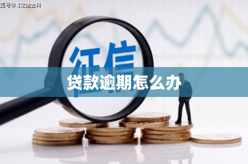 南票贷款逾期怎么办