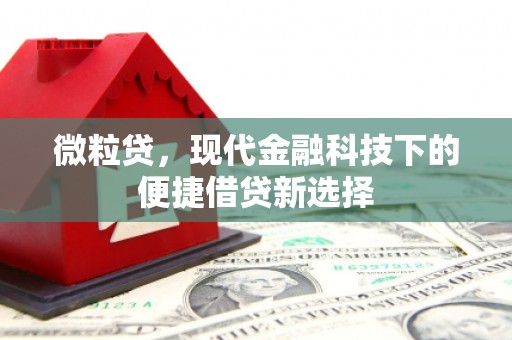 南票微粒贷，现代金融科技下的便捷借贷新选择