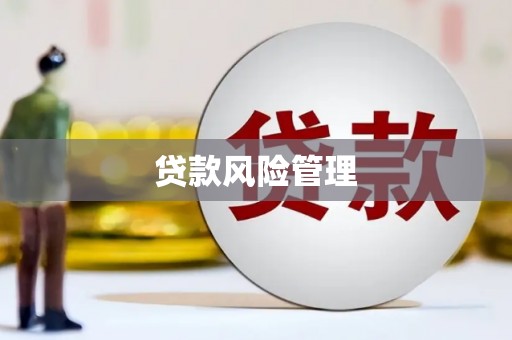 南票贷款风险管理