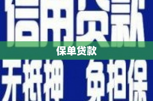南票保单贷款