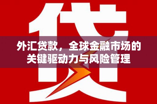 南票外汇贷款，全球金融市场的关键驱动力与风险管理