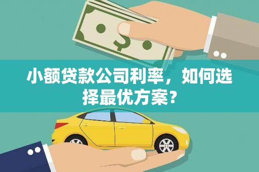 南票小额贷款公司利率，如何选择最优方案？