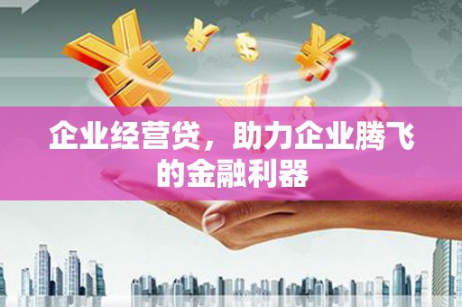 南票企业经营贷，助力企业腾飞的金融利器