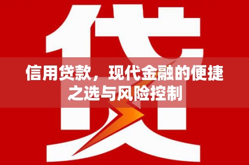 南票信用贷款，现代金融的便捷之选与风险控制