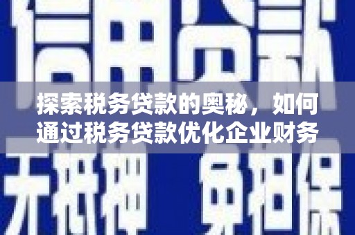 南票探索税务贷款的奥秘，如何通过税务贷款优化企业财务
