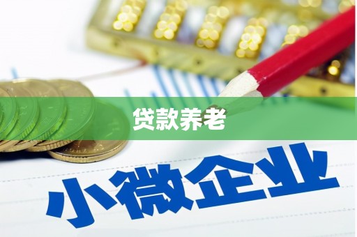 南票贷款养老