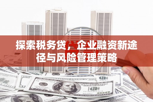 南票探索税务贷，企业融资新途径与风险管理策略