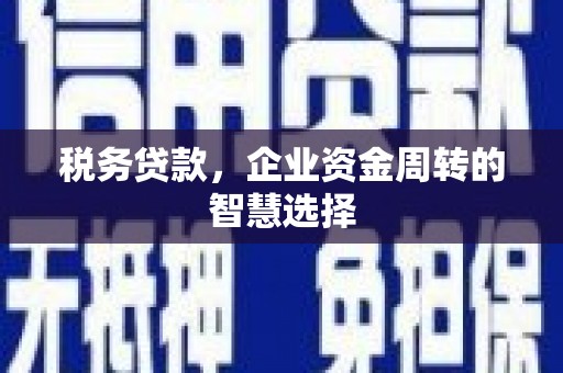 南票税务贷款，企业资金周转的智慧选择