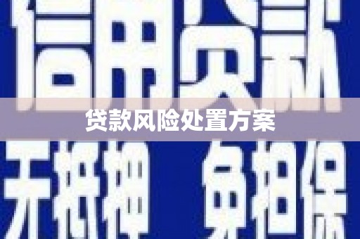 南票贷款风险处置方案