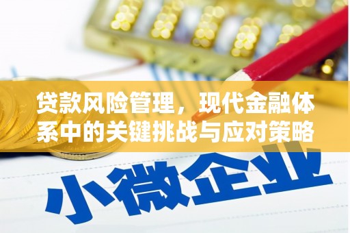 南票贷款风险管理，现代金融体系中的关键挑战与应对策略
