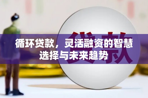 南票循环贷款，灵活融资的智慧选择与未来趋势
