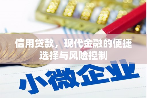 南票信用贷款，现代金融的便捷选择与风险控制