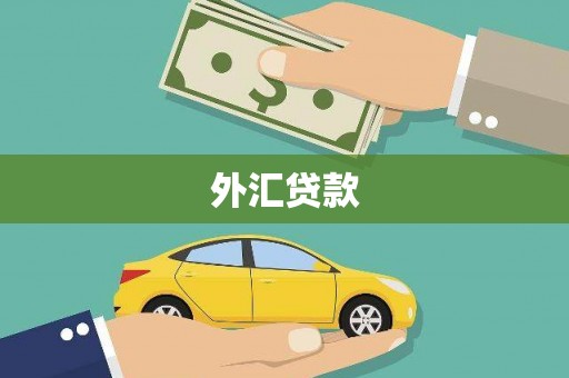 南票外汇贷款