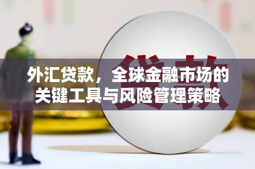 南票外汇贷款，全球金融市场的关键工具与风险管理策略