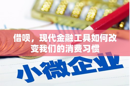 南票借呗，现代金融工具如何改变我们的消费习惯