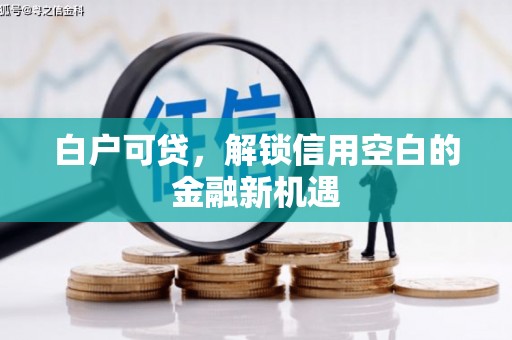南票白户可贷，解锁信用空白的金融新机遇
