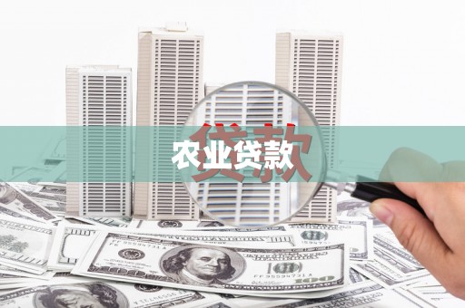 南票农业贷款