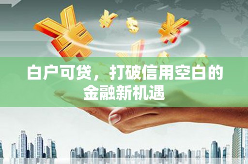 南票白户可贷，打破信用空白的金融新机遇