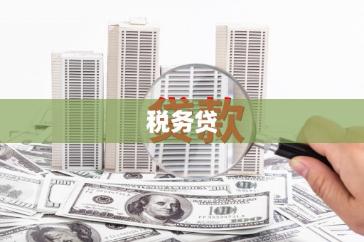 南票税务贷