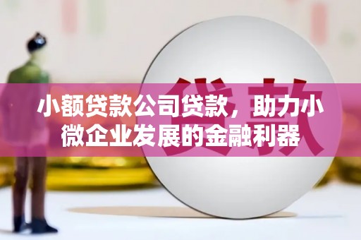 南票小额贷款公司贷款，助力小微企业发展的金融利器