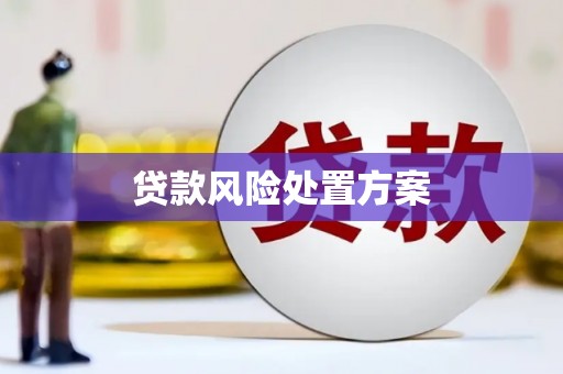 南票贷款风险处置方案