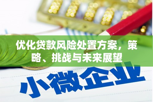 南票优化贷款风险处置方案，策略、挑战与未来展望