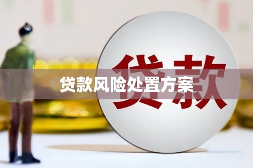 南票贷款风险处置方案