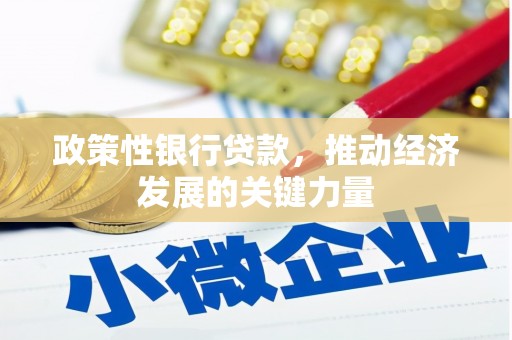 南票政策性银行贷款，推动经济发展的关键力量