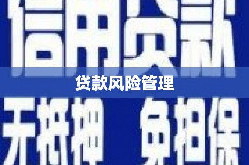 南票贷款风险管理