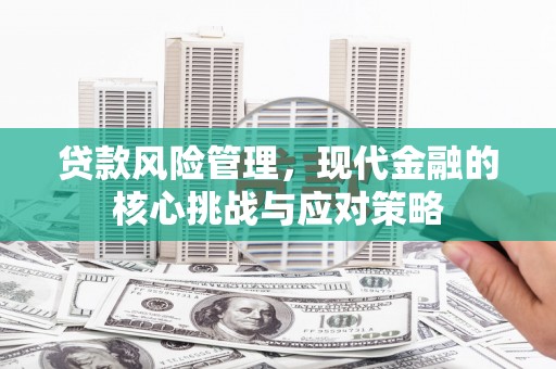 南票贷款风险管理，现代金融的核心挑战与应对策略