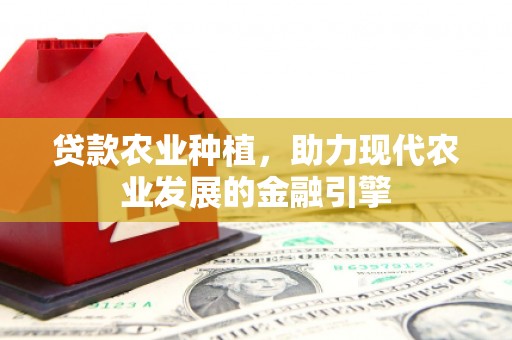 南票贷款农业种植，助力现代农业发展的金融引擎