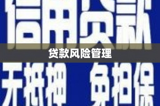 南票贷款风险管理