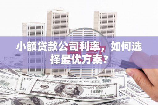 南票小额贷款公司利率，如何选择最优方案？