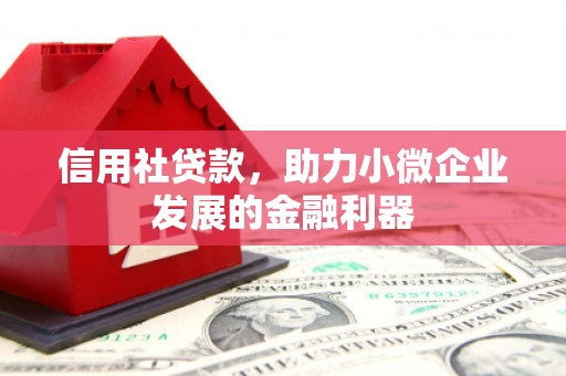 南票信用社贷款，助力小微企业发展的金融利器