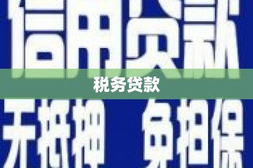 南票税务贷款