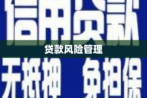 南票贷款风险管理