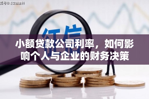 南票小额贷款公司利率，如何影响个人与企业的财务决策
