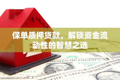 南票保单质押贷款，解锁资金流动性的智慧之选