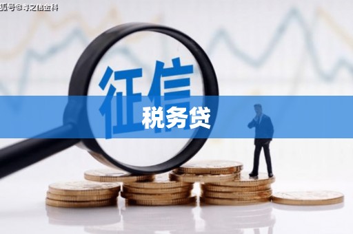 南票税务贷