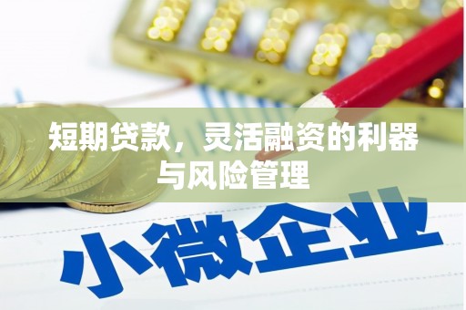 南票短期贷款，灵活融资的利器与风险管理