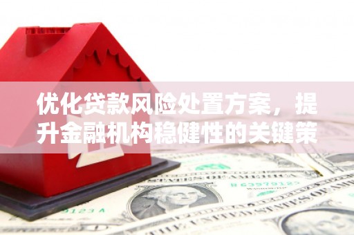 南票优化贷款风险处置方案，提升金融机构稳健性的关键策略