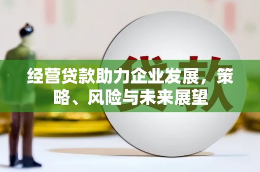 南票经营贷款助力企业发展，策略、风险与未来展望
