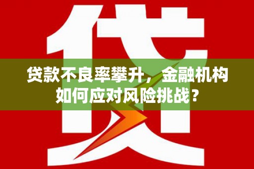 南票贷款不良率攀升，金融机构如何应对风险挑战？