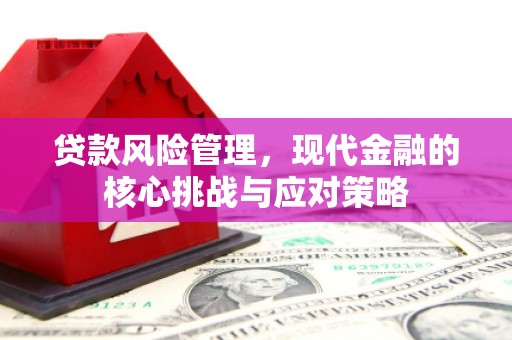 南票贷款风险管理，现代金融的核心挑战与应对策略