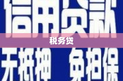 南票税务贷